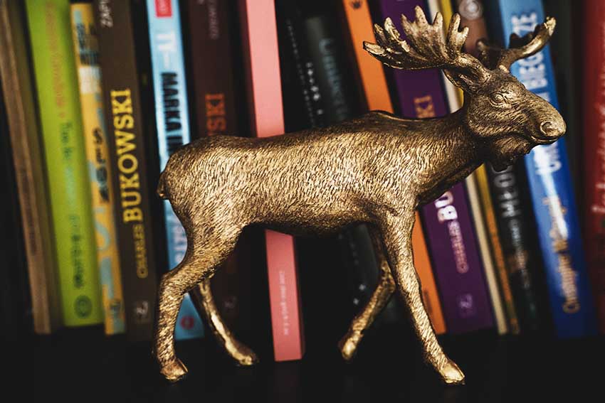 gadżety Renifer dekoracyjny Deer fabryka form