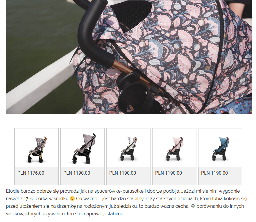 How to earn from blogging thanks to affiliation baby strollers widgets
