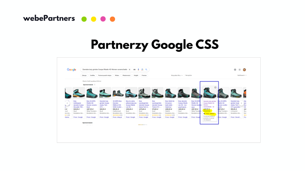 Partnerzy Google CSS w programie partnerskim